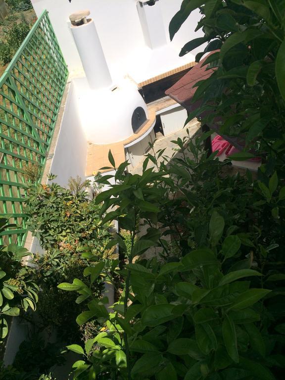 Villa Irida Pszarí Foráda Kültér fotó